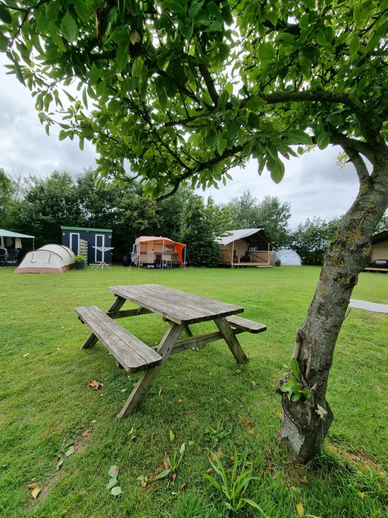 Camping De Tulpenweide Lege Kampeerplaats, Lege Plaats Op Het Gras Zonder Bed Breezand Exterior foto